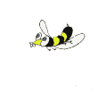 _zan02 :an02: