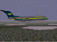 medf100a.gif (31943 byte)